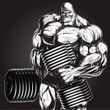 ภาพเวกเตอร์   - โรงยิม   สำหรับ ออกกำลังกาย ,เพาะกล้ามเนื้อ ผู้ชาย   (สามารถ ดาวน์โหลดภาพ ประกอบนี้ได้ฟรี)---Bodybuilding Gym Muscle Dumbbell Man Vector Poster (Free Download Illustrations)