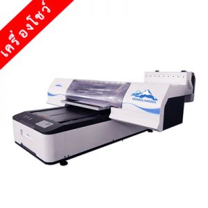 SAMPLE 60*90 Digital Flatbed UV Printer with 2 Epson TX800 Printheads