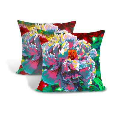 Cushion Cover Pillow Cover Throw Pillow Case, Decorative Square Artistic Design Pillow Case (Pattern 1)