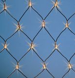 (2.2*0.6M)LED Twin bulb net light