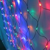 (2.5*1.2M)LED Twin bulb net light(blue)