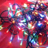 (6M)3 Wire LED Twinkle Light(green)