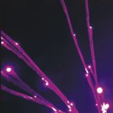 Indoor LED bush light