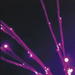 Indoor LED bush light