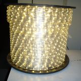 (100M)LED 2 Wire Chasing Rope Light