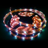 LED Strip 5050(F30-12V-10mm)