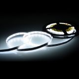 LED Strip 5050(F60-12V-10mm)