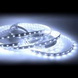 White Color LED Light Strip(30 SMD 5050 leds per meter nonwaterproof) 5m/roll