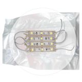 SMD 5050 Free Shipping Waterproof LED Module (3 LEDs, White Light, 0.72W, L74 x W12mm, 1 Pack/100pcs)