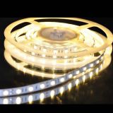 White Color Flexible LED Light Strip(60 SMD 5050 leds per meter nonwaterproof) 5m/roll