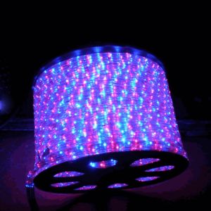 (100M)2 Wire LED Standard Rope Light
