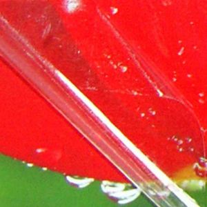 แผ่นฟิล์มเคลือบภาพ ขนาด25" (0.635m) Glossy Film for Photo Studio