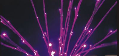 Indoor LED bush light