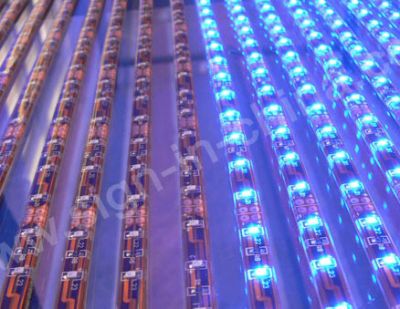 LED Strip 5050(F48-12V-10mm)