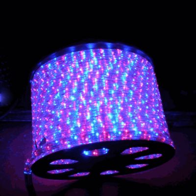 (100M)2 Wire LED Standard Rope Light