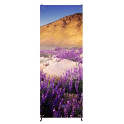Carbon Fiber X banner
